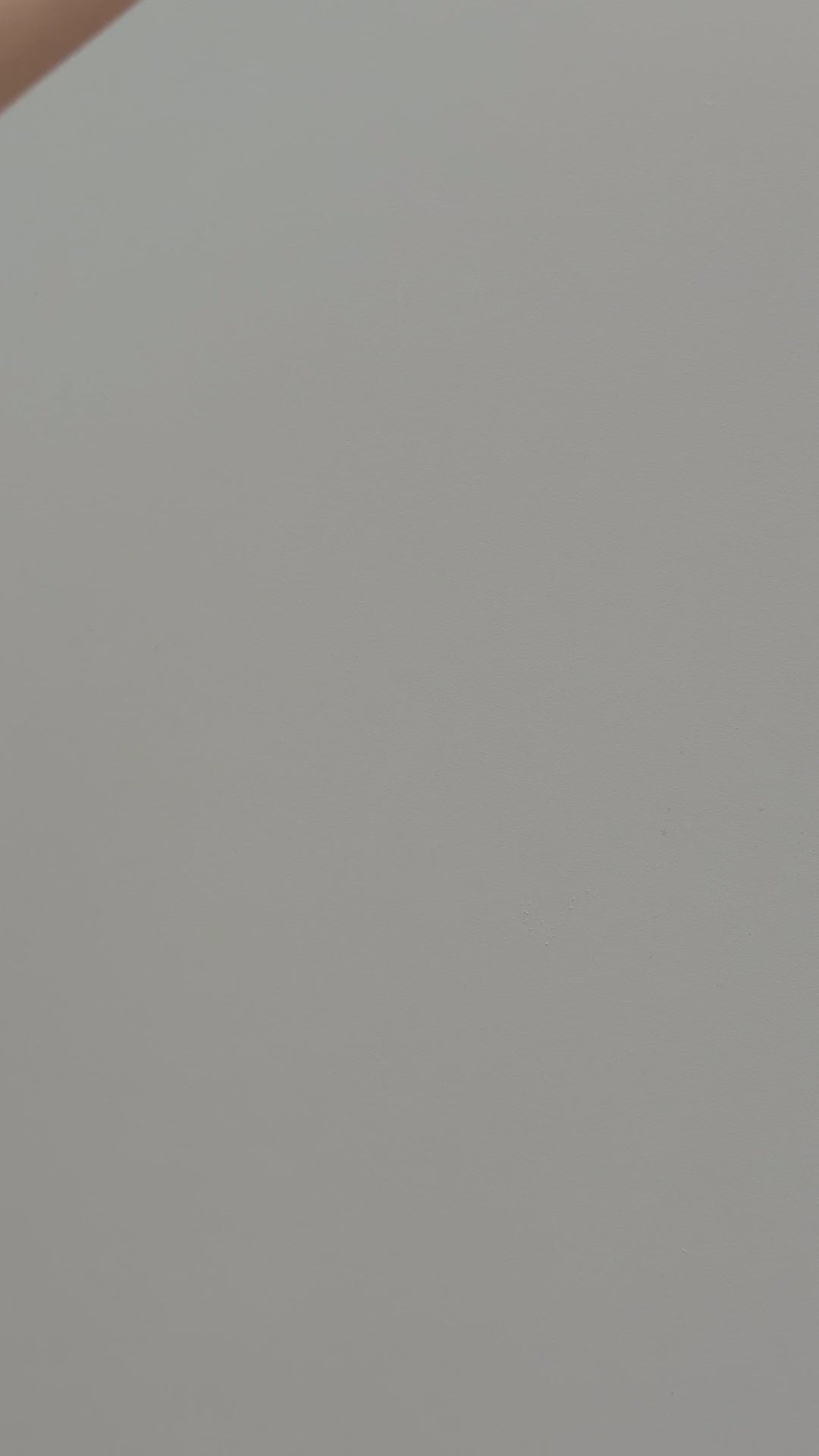 2025 Limited Edition Peony Mug